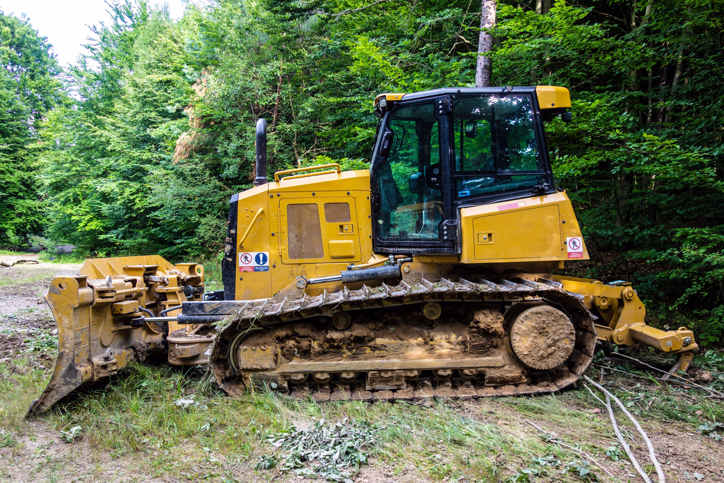 Arborist Services in @fname@