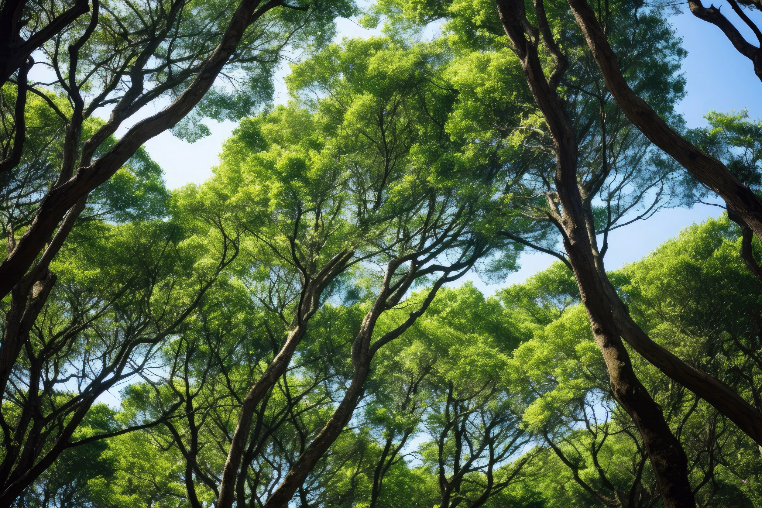 Tree Pruning Service in Near Me
